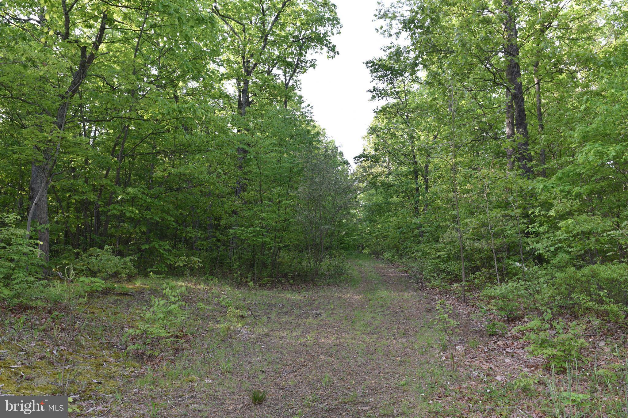 Warfordsburg, PA 17267,LOT 1 FAIRVIEW ROAD