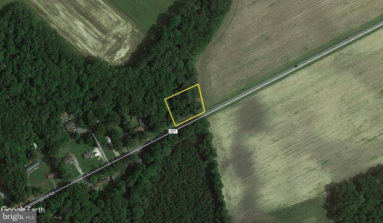 Ellendale, DE 19941,1.489 ACRES HUMMINGBIRD RD