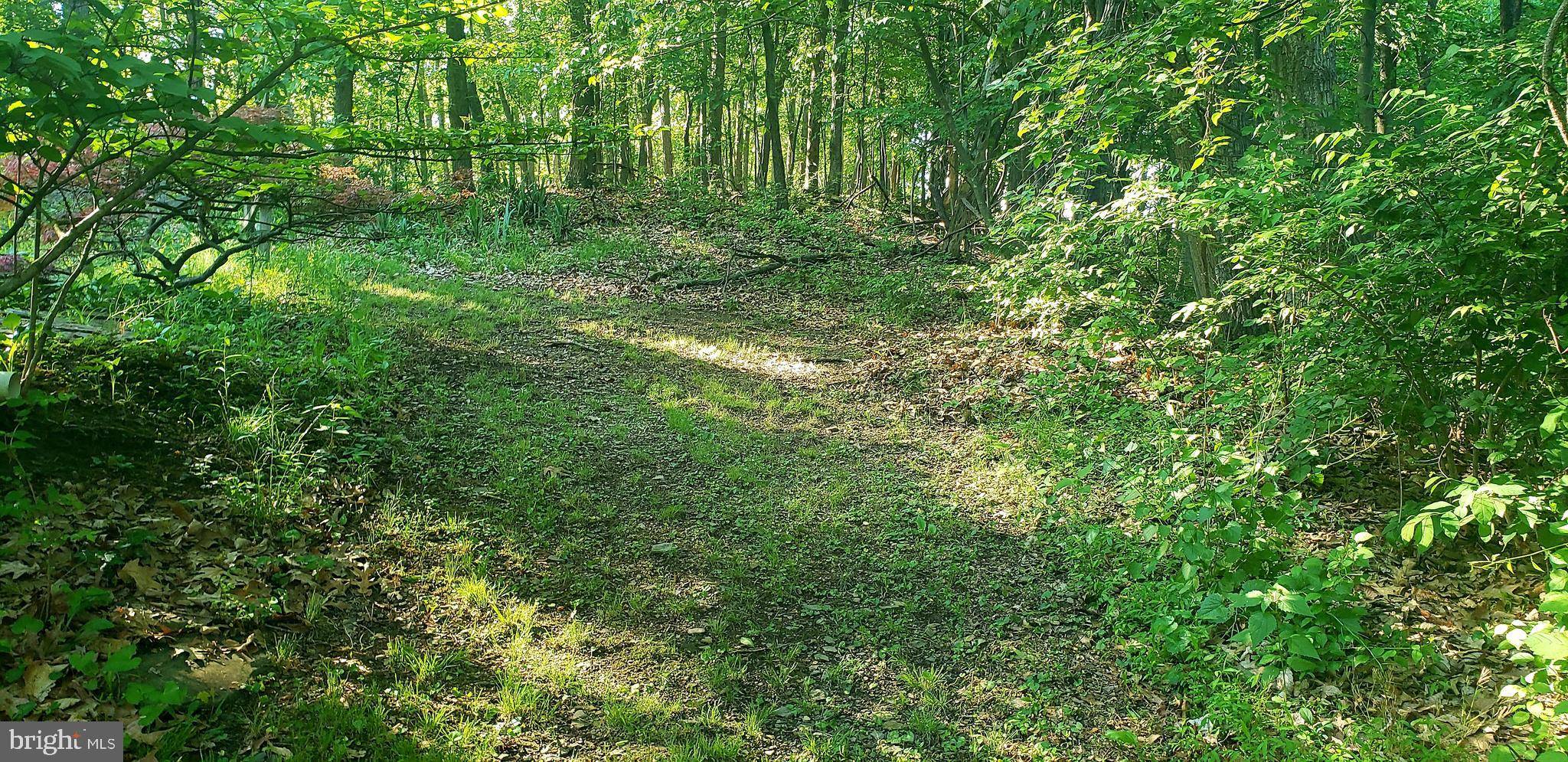 Elliottsburg, PA 17024,LOT #9 PINEHOLM LANE