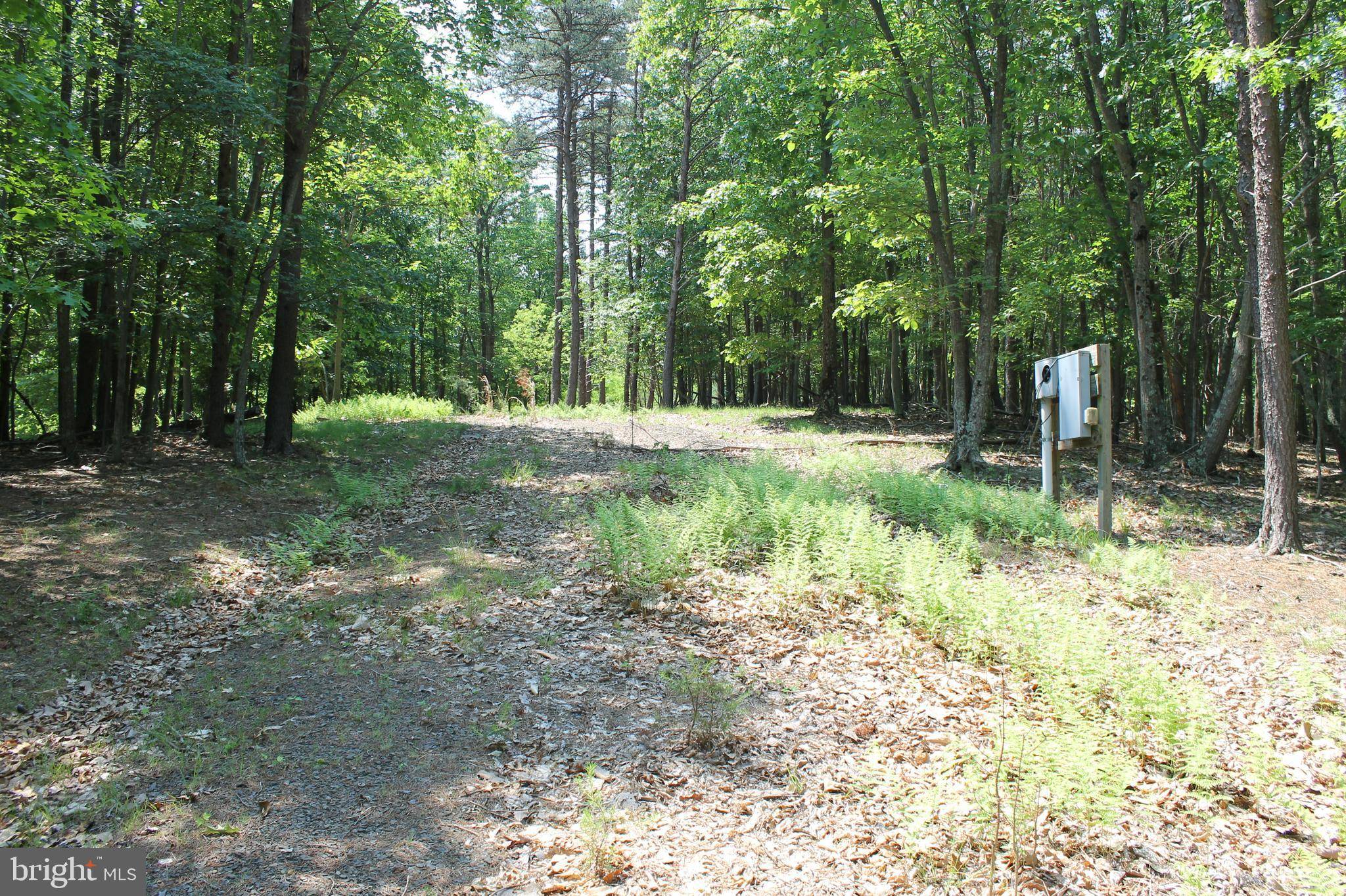 Springfield, WV 26763,LOT # 248 DUMPLING RIDGE RD