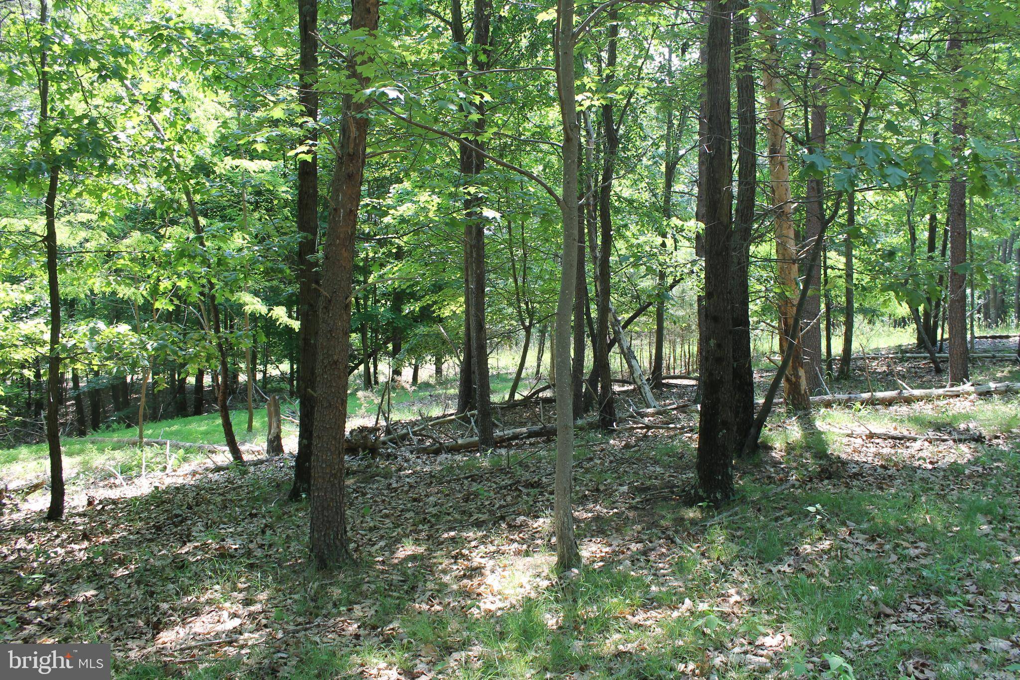 Springfield, WV 26763,LOT # 248 DUMPLING RIDGE RD