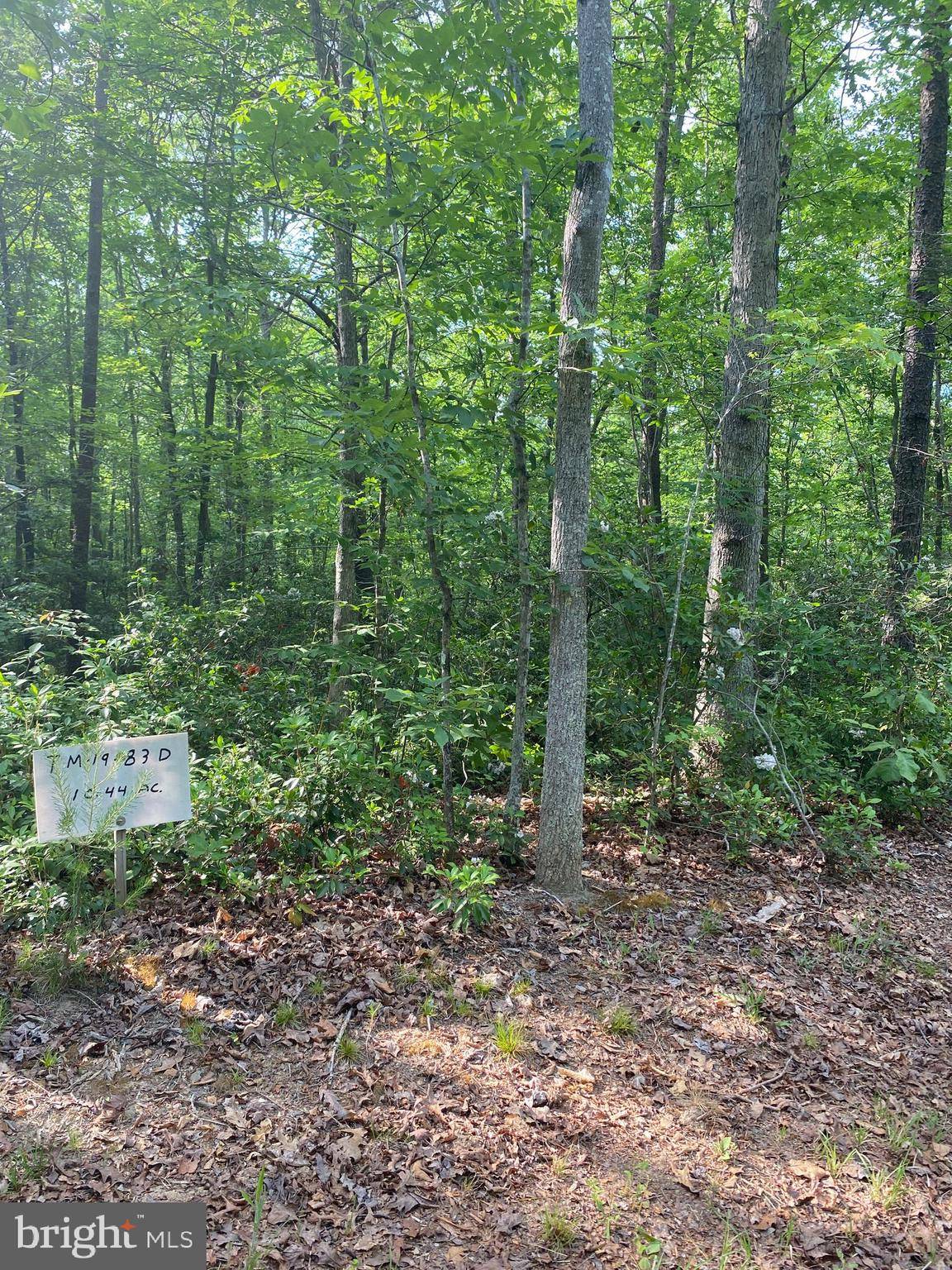 Rixeyville, VA 22737,LOT 2 SPRING HOLLOW