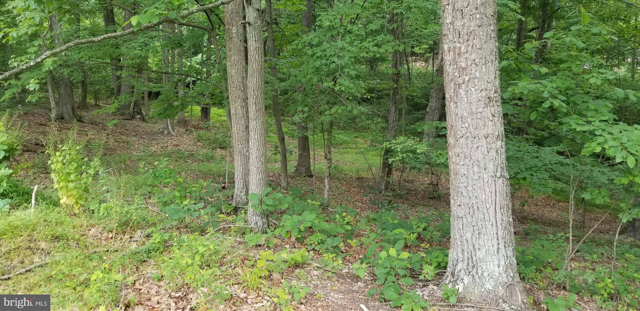 Hedgesville, WV 25427,OAK RIDGE LANE LOT #31