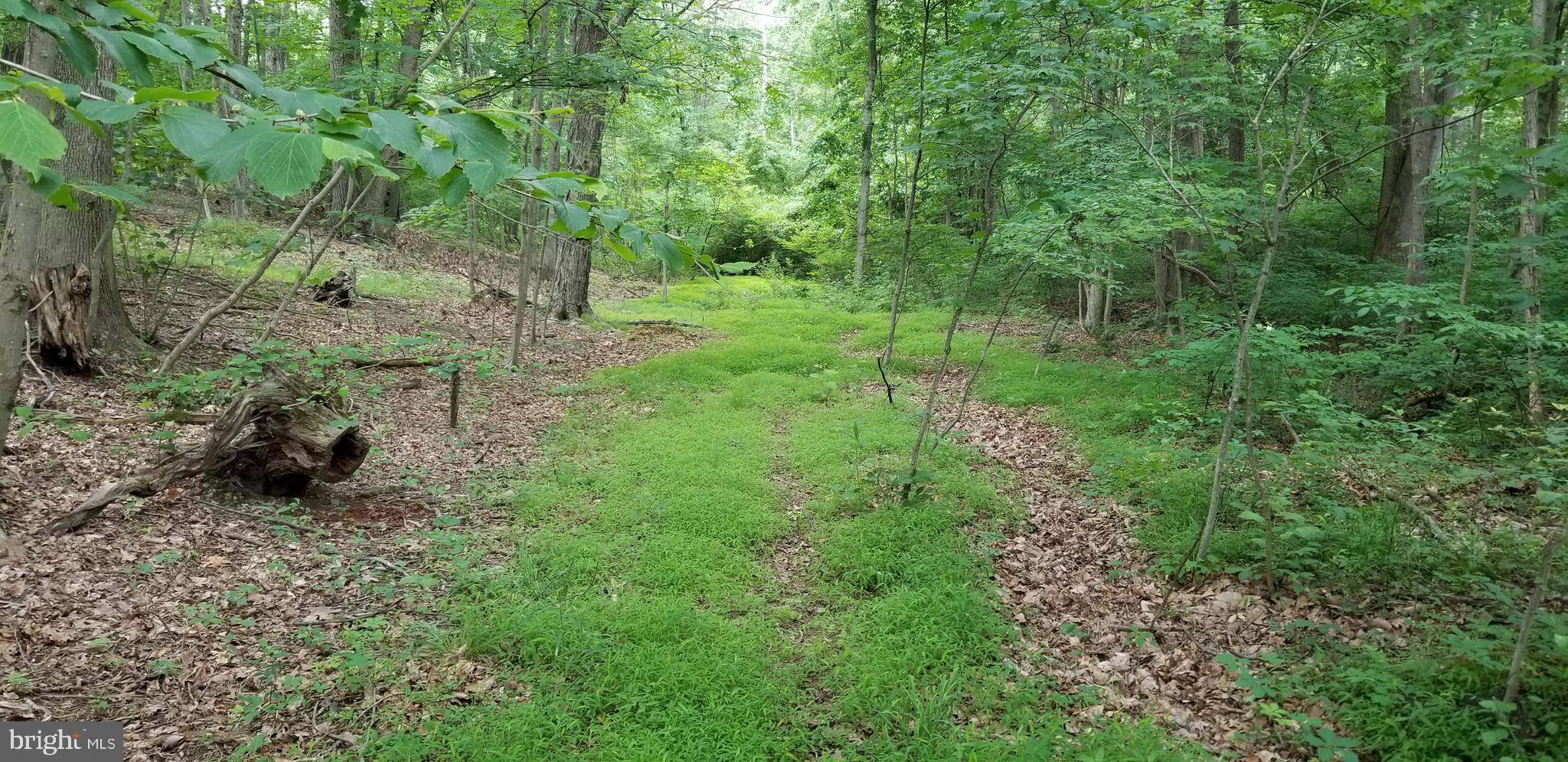 Hedgesville, WV 25427,OAK RIDGE LANE LOT #31