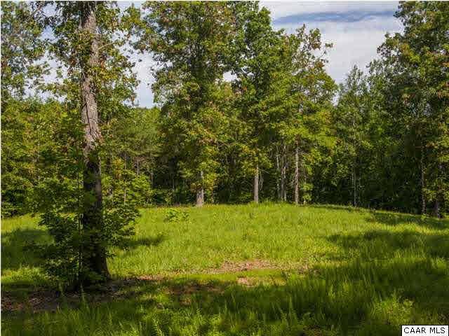 Scottsville, VA 24590,HAWK'S CREST LN LN #LOT D