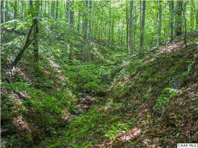 Scottsville, VA 24590,HAWK'S CREST LN LN #LOT E