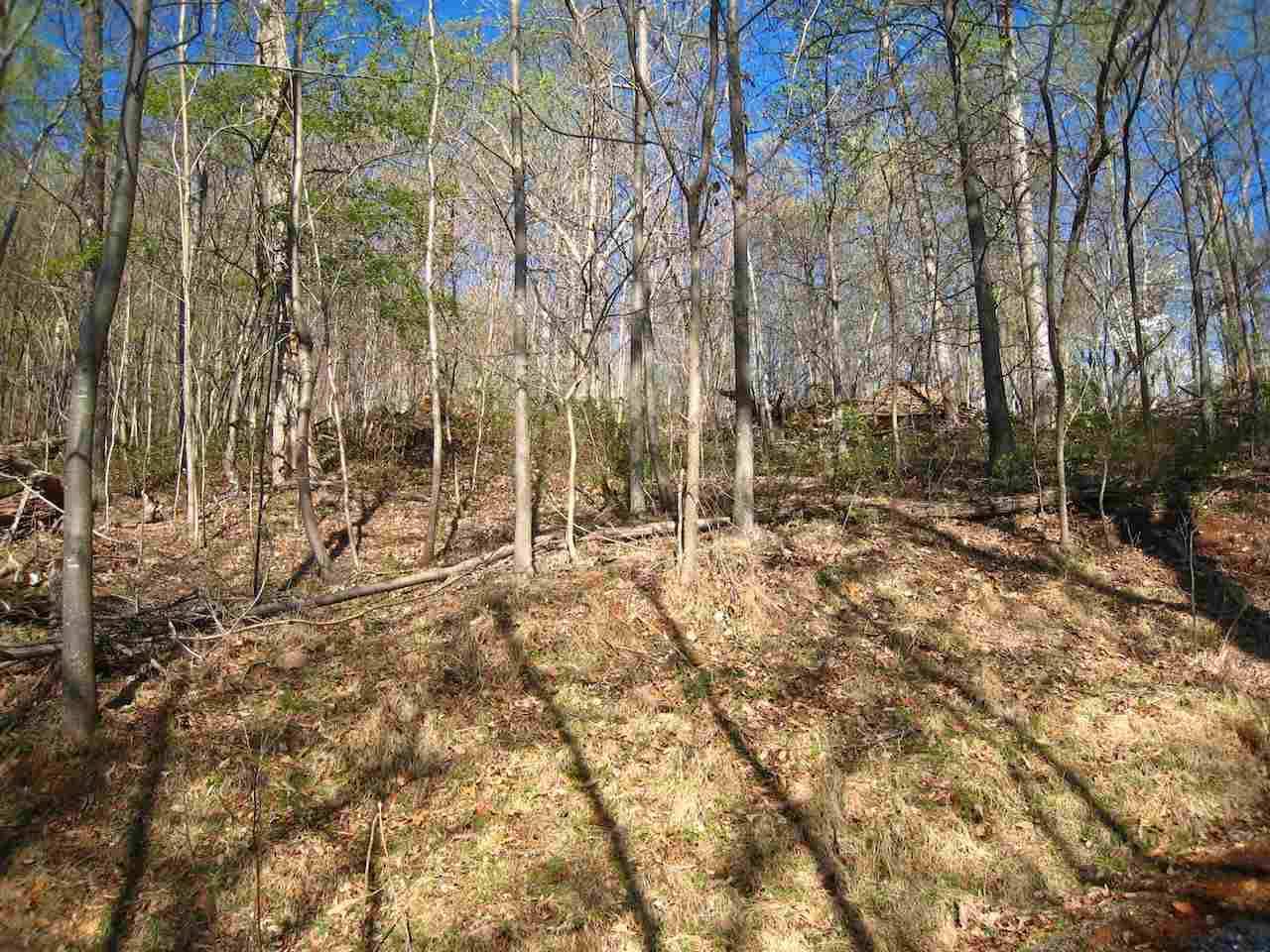 Nellysford, VA 22958,TREE HOUSE PL PL #LOT 42