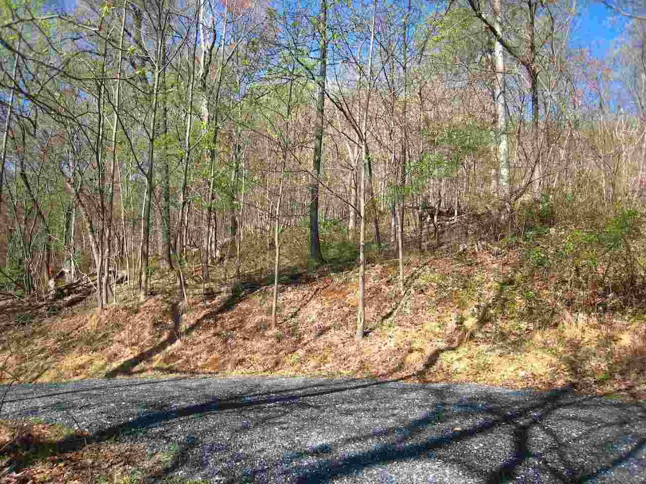 Nellysford, VA 22958,TREE HOUSE PL PL #LOT 42