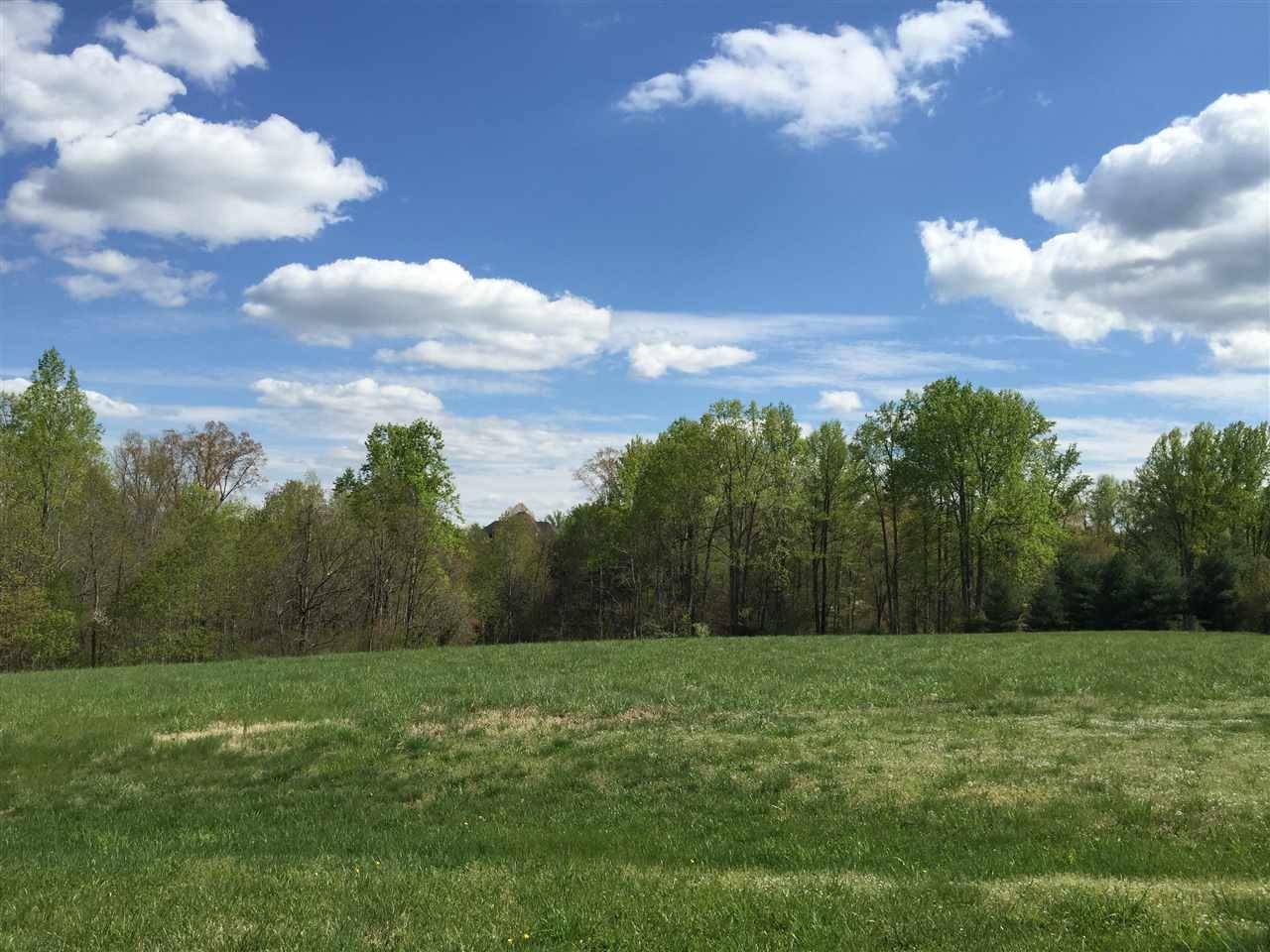 Earlysville, VA 22936,LOT 15 INDIAN RIDGE RD DR #LOT #15