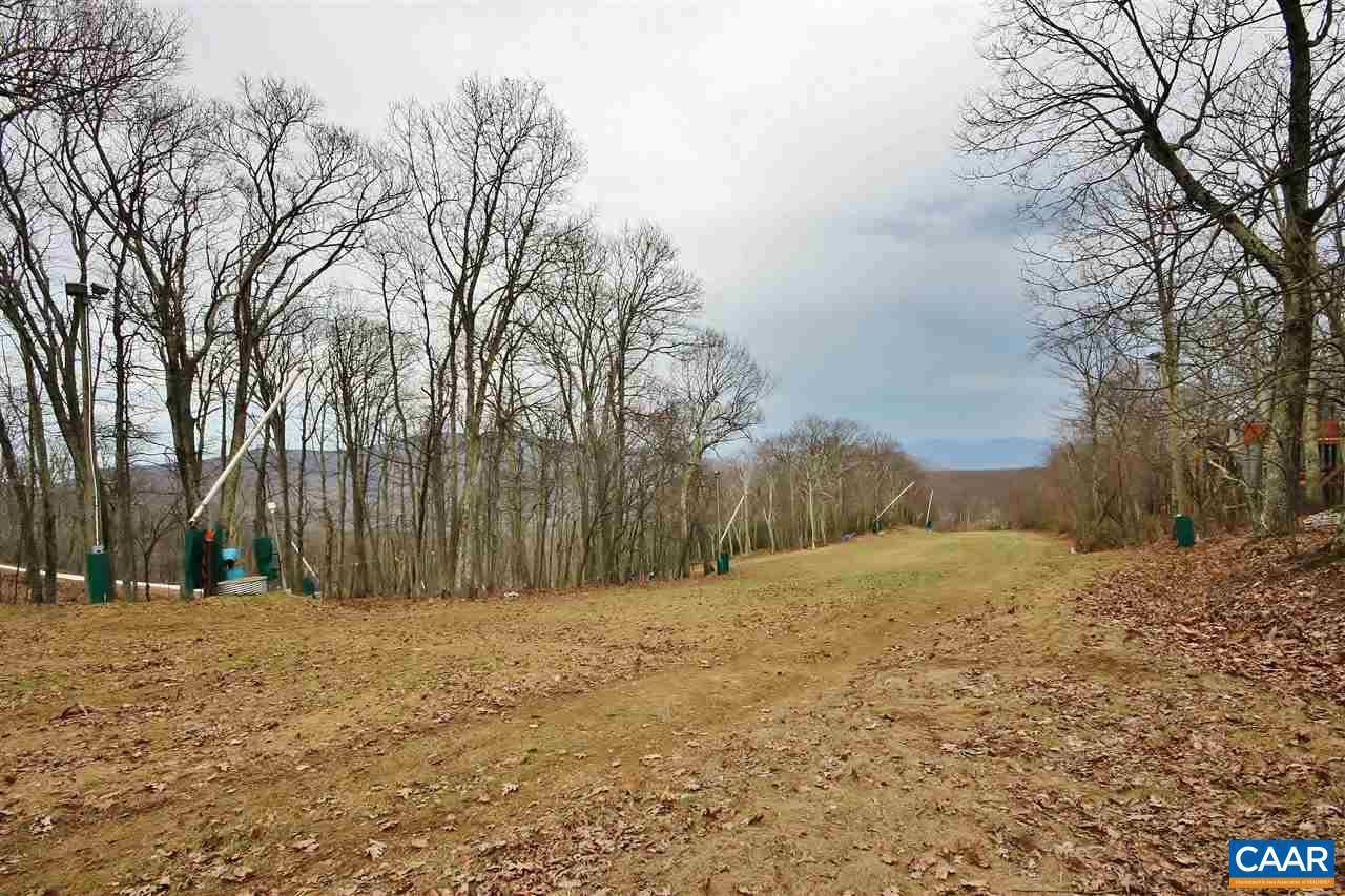 Wintergreen, VA 22958,LOT 14 TYRO LN LN