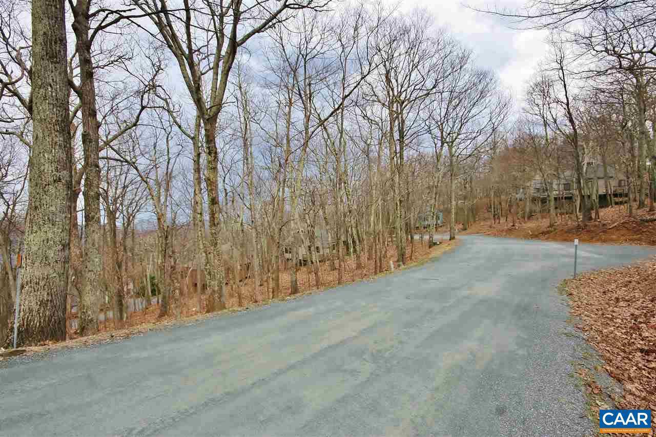 Wintergreen, VA 22958,LOT 14 TYRO LN LN