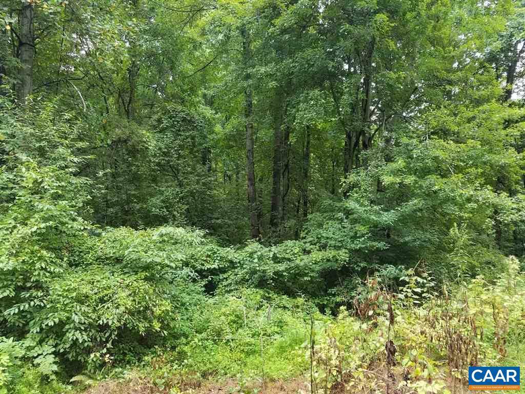 Stanardsville, VA 22973,S GREENE ACRES RD RD S #LOT 23