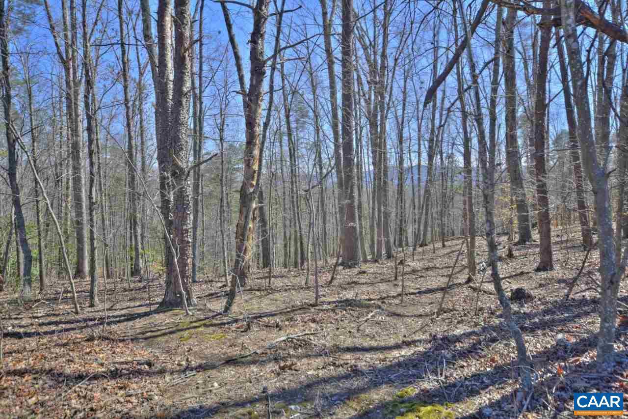 Barboursville, VA 22923,LOT 4 BURNLEY RD RD