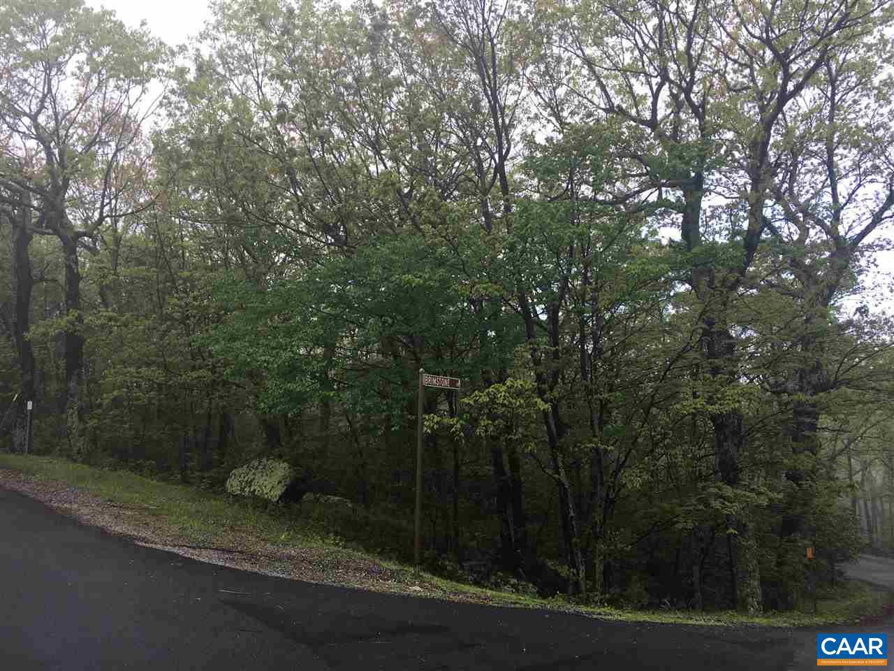 Wintergreen, VA 22958,25 BRIMSTONE DR DR