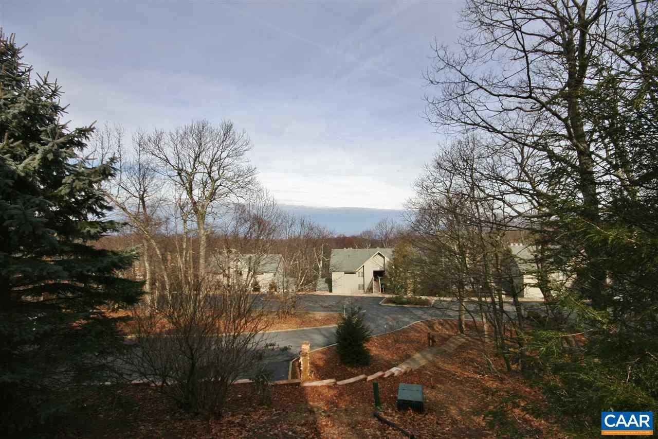 Wintergreen, VA 22958,2226 TANNERS RIDGE CONDOS RDG