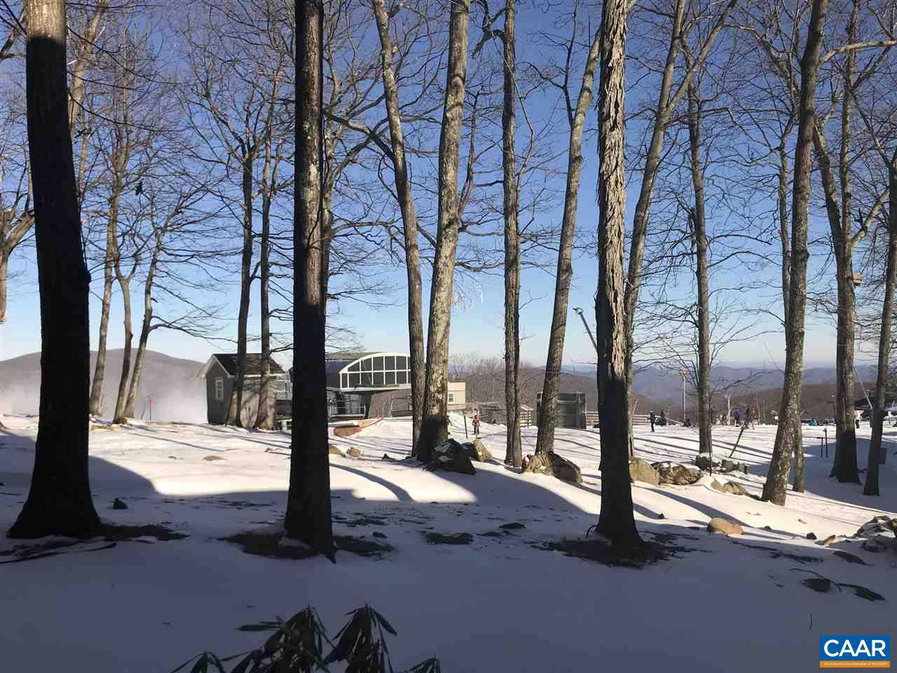 Wintergreen Resort, VA 22958,319 DOBIE CONDOS