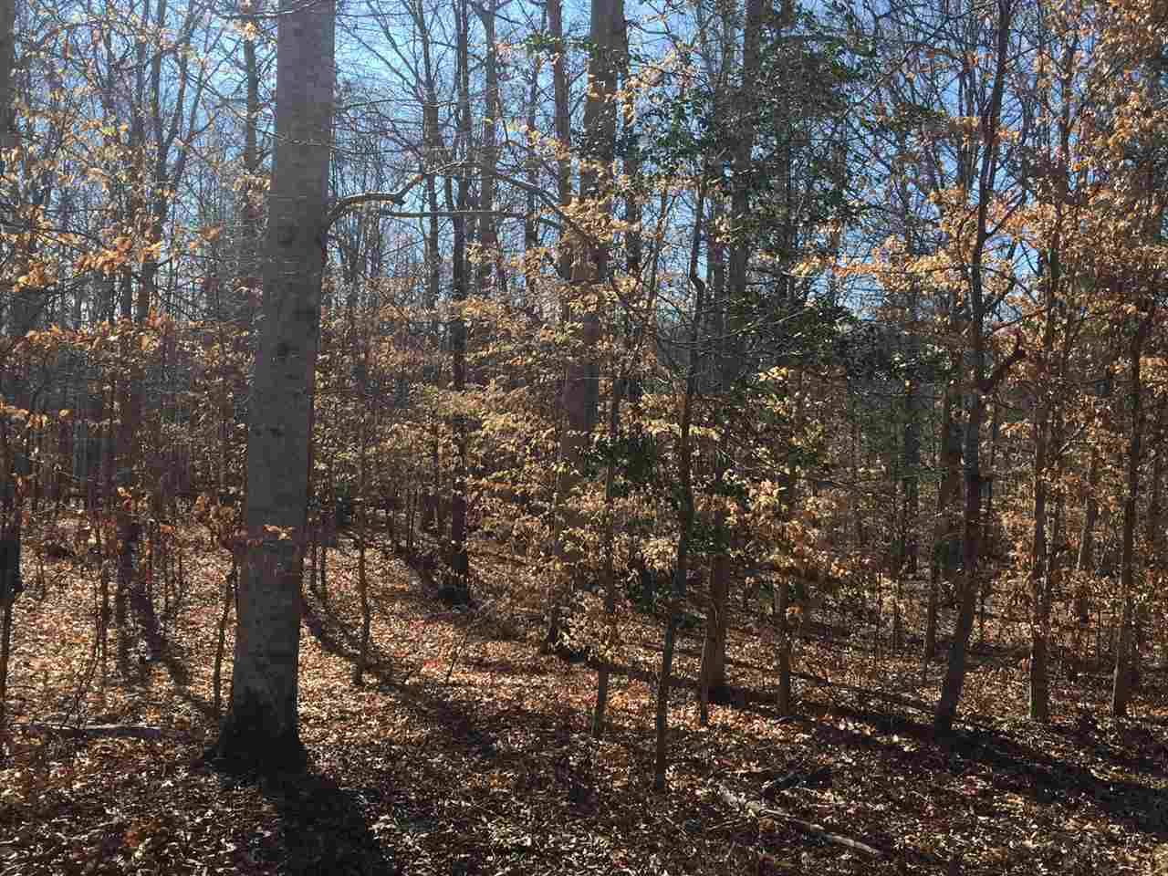 Keswick, VA 22947,LOT A LOUISA RD RD #A