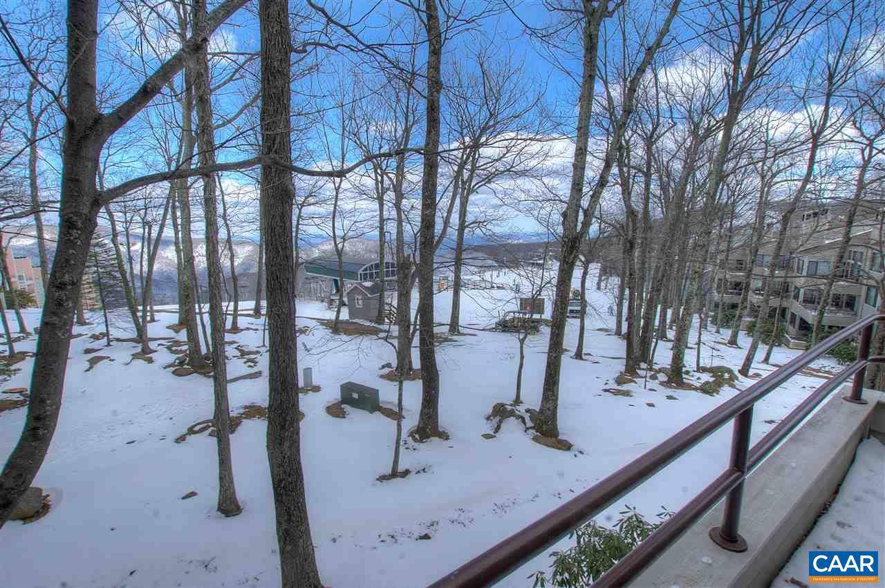 Wintergreen Resort, VA 22967,326 DOBIE CONDOS