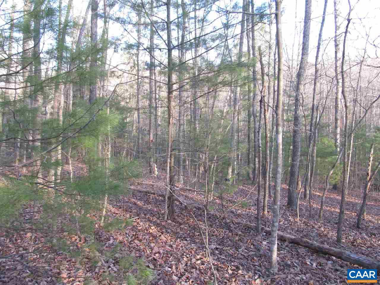 Scottsville, VA 24590,LOT 5 SECRETARYS RD RD