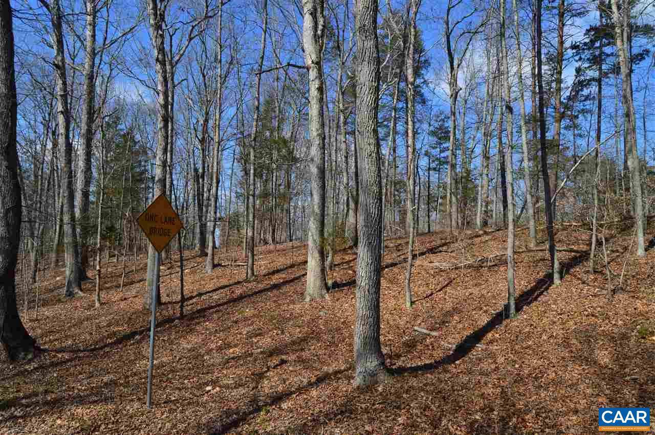 Palmyra, VA 22963,LOT 1 DEEP CREEK RD RD