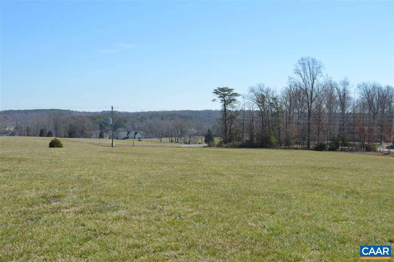 Mineral, VA 23117,6601 HORIZON VIEW CT CT