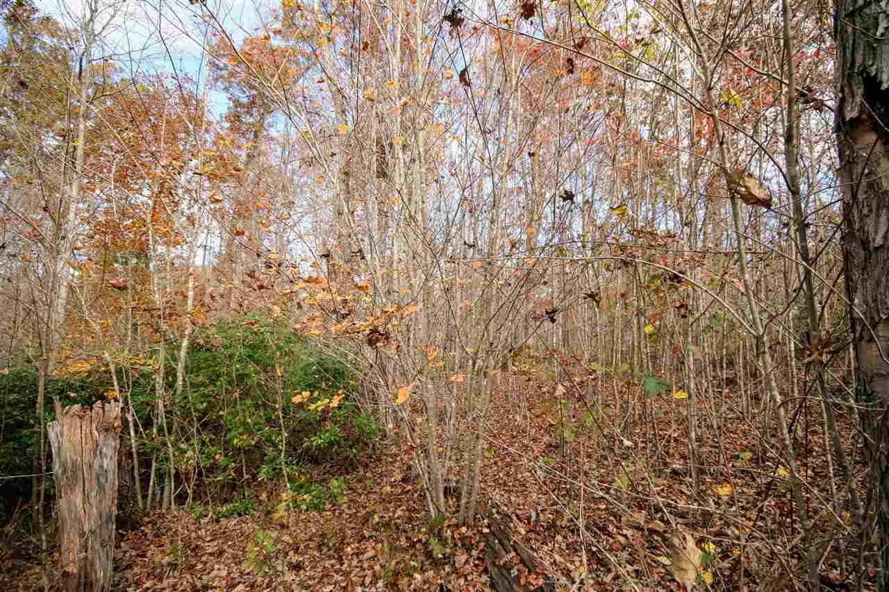 Scottsville, VA 24590,TBD CONSTITUTION HWY #LOT 7