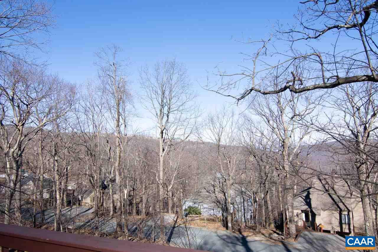 Wintergreen Resort, VA 22967,67 SQUIRREL TREE LN LN