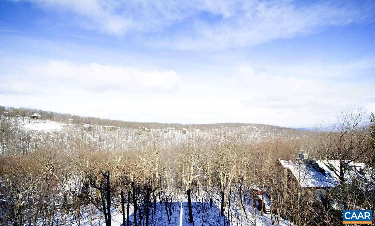 Wintergreen Resort, VA 22967,45 TIMBER CAMP DR DR