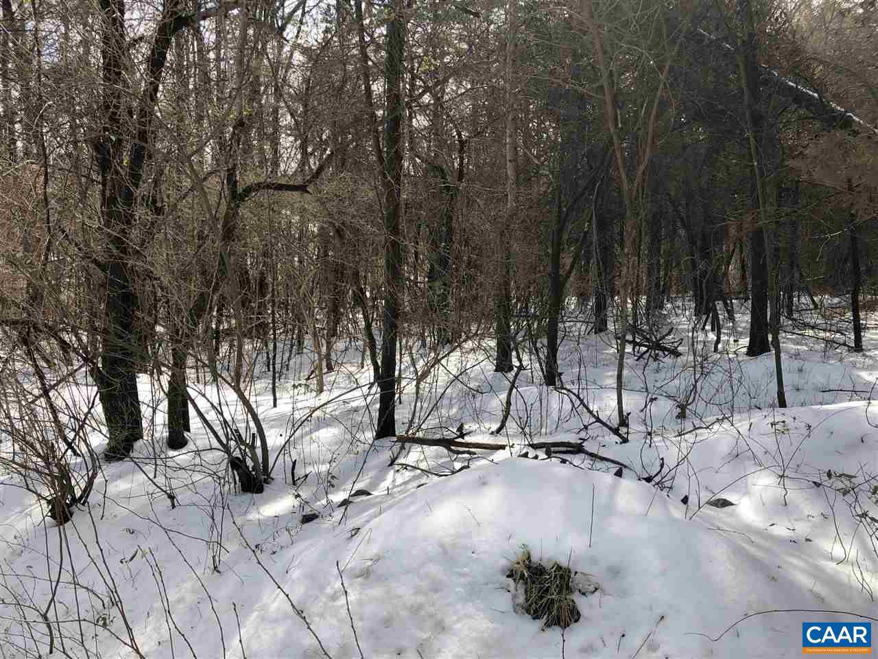 Stanardsville, VA 22973,LOT 19 N GREENE ACRES RD RD N #19