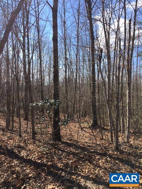 Earlysville, VA 22936,0 FUTURE OAK LN LN #LOT 006D0