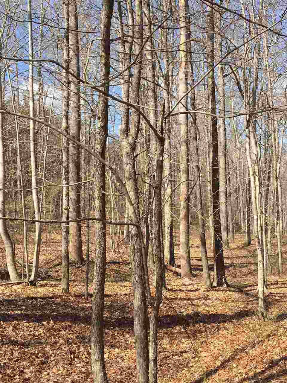 Earlysville, VA 22936,0 ELIZA LN LN #LOT 003B0