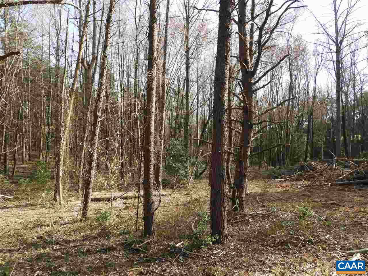 Earlysville, VA 22936,LOT #2 EARLYSVILLE RD RD #LOT #2