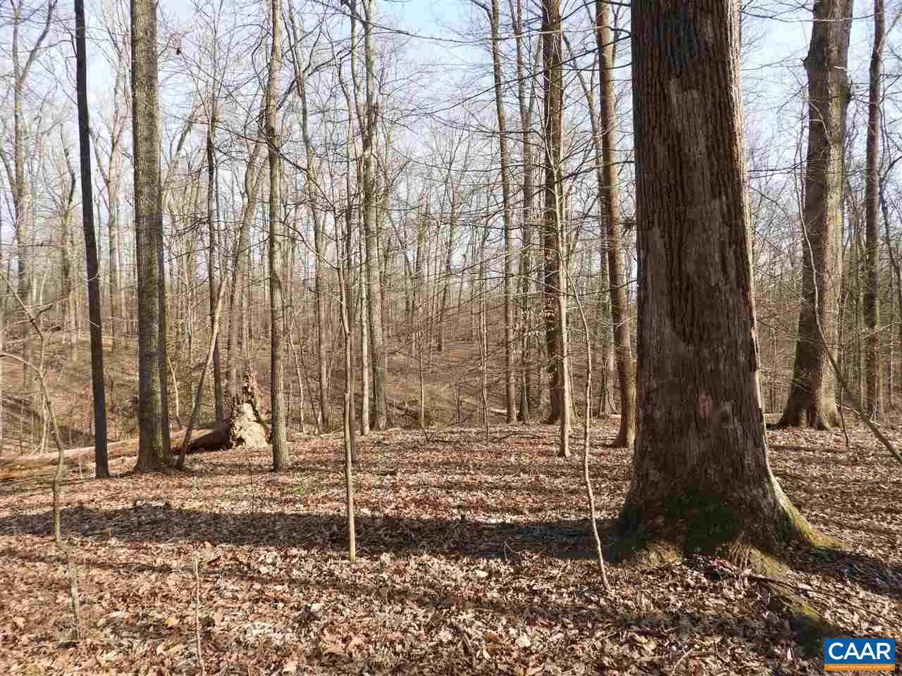 Earlysville, VA 22936,LOT #5 EARLYSVILLE RD RD #LOT #5