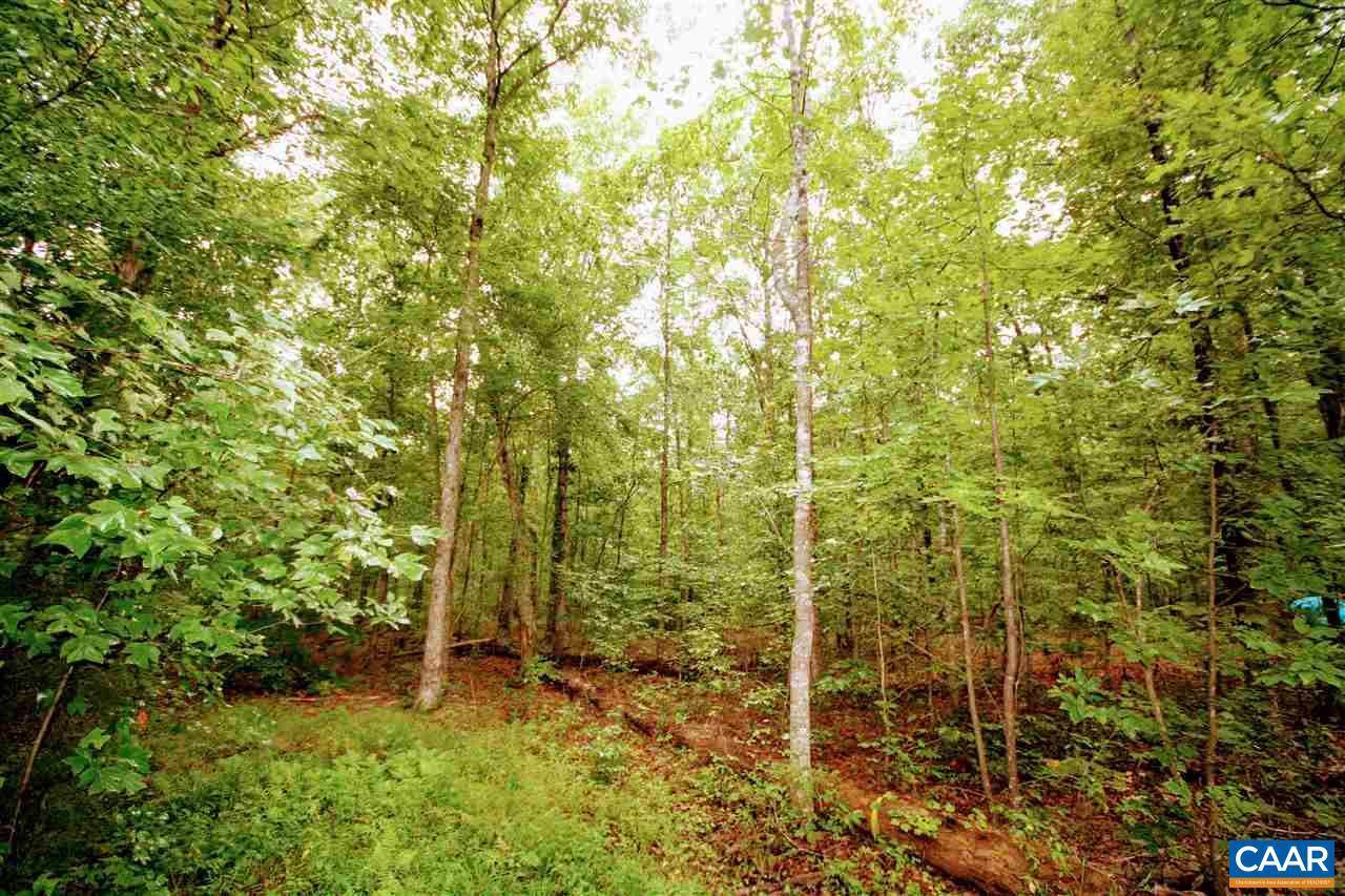 Scottsville, VA 24590,LOT 2 ROLLING RD S RD S #2