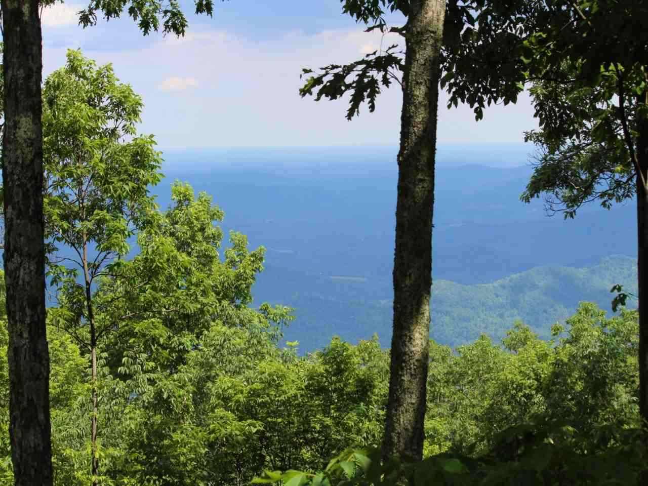 Wintergreen, VA 22958,96 TIMBER RIDGE LN LN