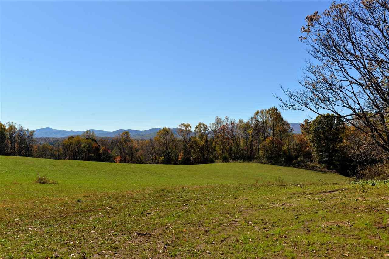 Afton, VA 22920,599 BLUNDELL HOLLOW RD RD #M