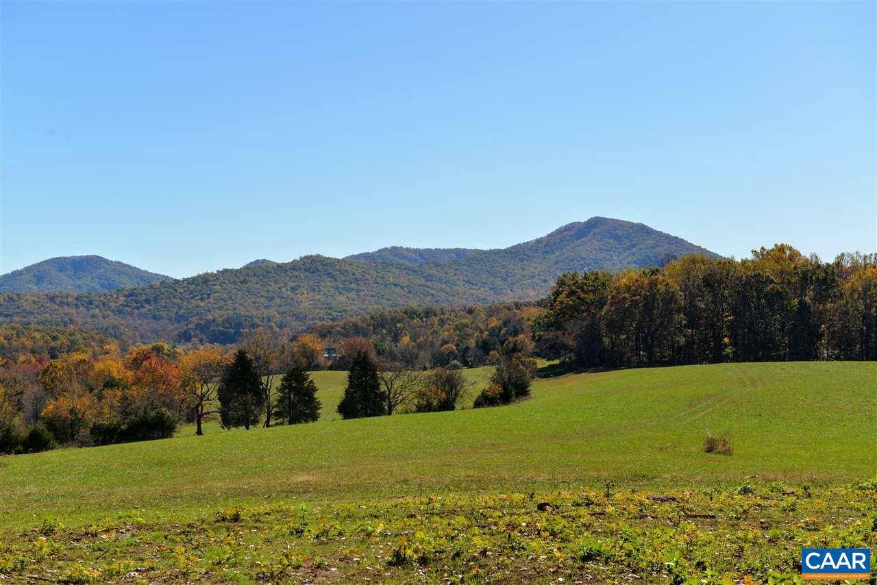 Afton, VA 22920,599 BLUNDELL HOLLOW RD RD #M