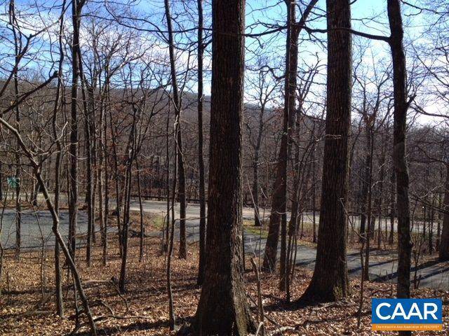 Wintergreen, VA 22958,LOT 124 HICKORYNUT RD