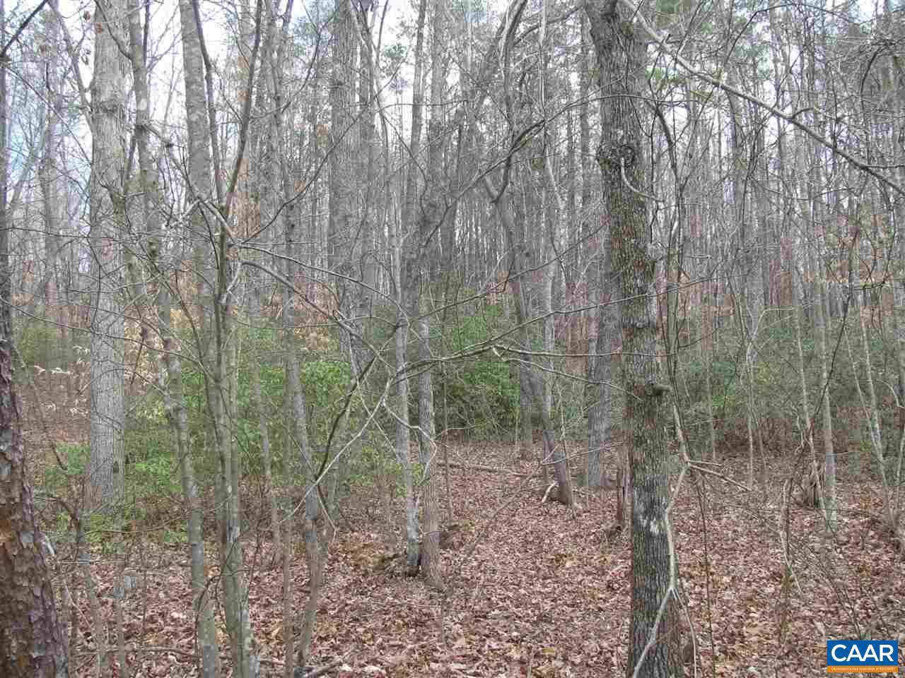 Schuyler, VA 22969,LOT 43 HAVENWOOD LN LN