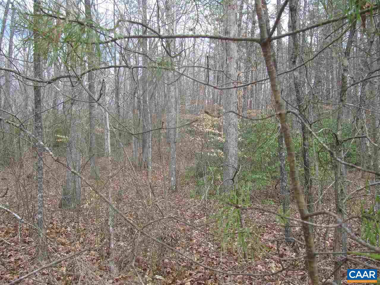 Schuyler, VA 22969,LOT 43 HAVENWOOD LN LN