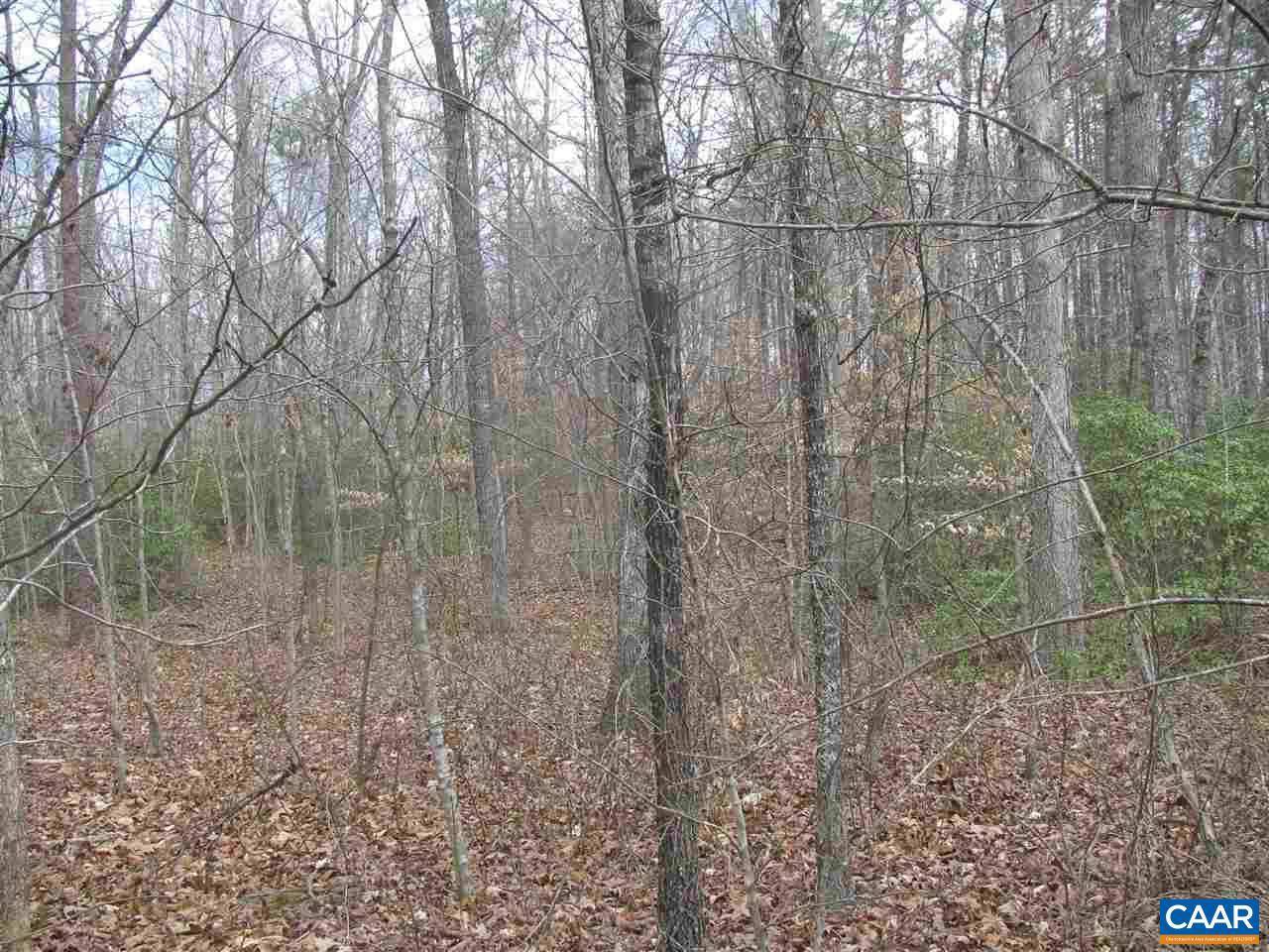 Schuyler, VA 22969,LOT 43 HAVENWOOD LN LN