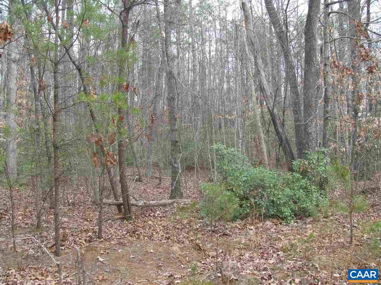 Schuyler, VA 22969,LOT 43 HAVENWOOD LN LN