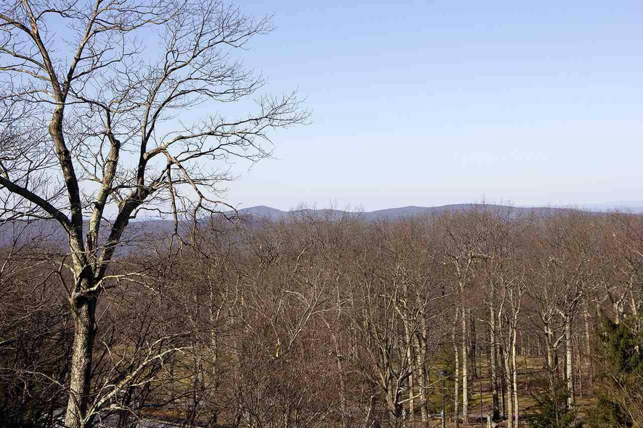 Wintergreen Resort, VA 22967,3204 NORTH RIDGE CONDOS RDG