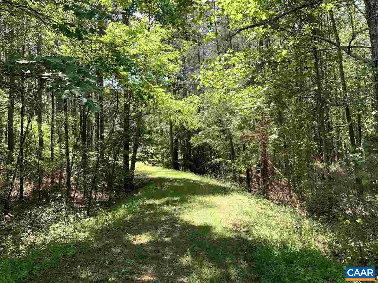 Earlysville, VA 22936,LOT #49 INDIAN RIDGE DR DR