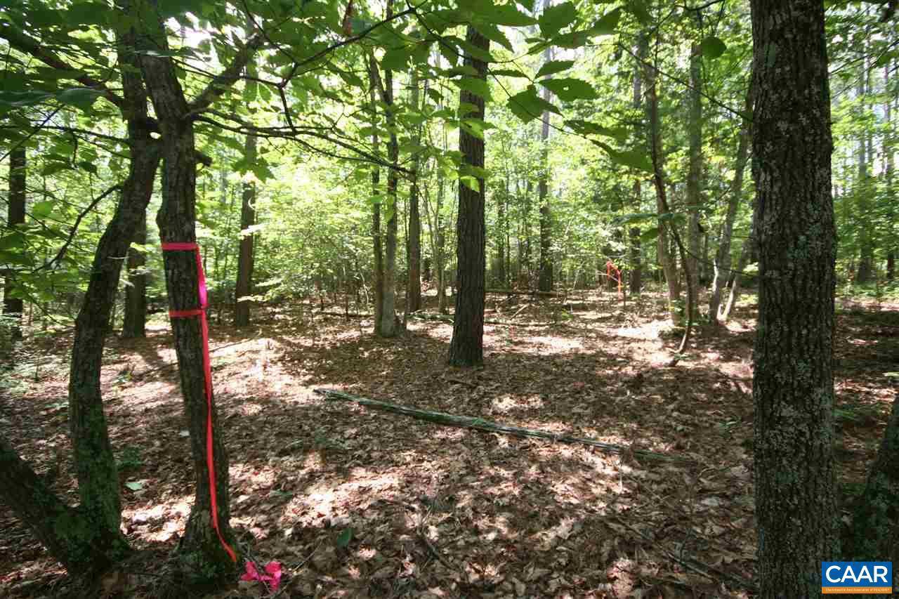 Scottsville, VA 24590,TBD LOT 1 S CONSTITUTION HWY #LOT 1