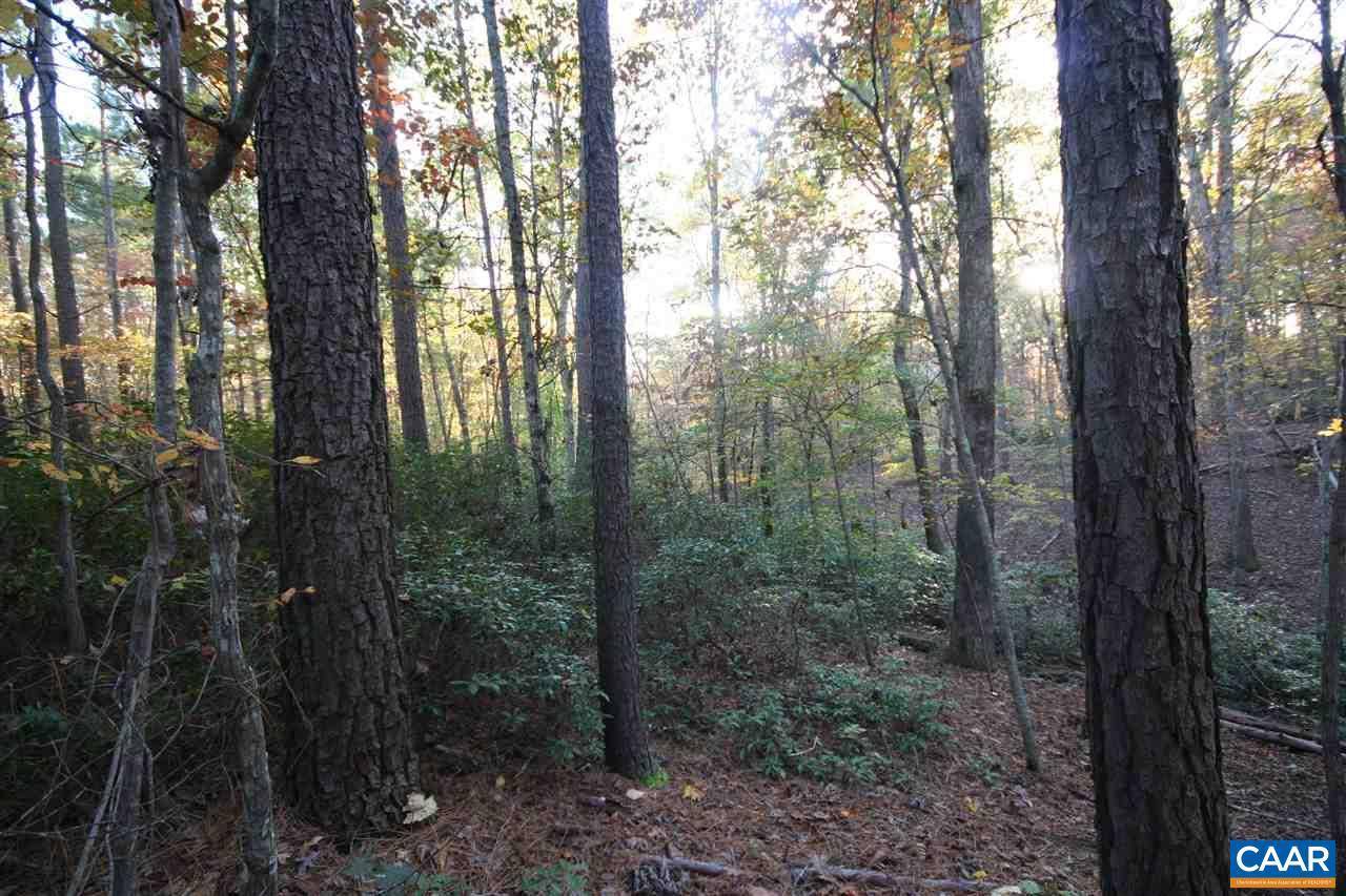 Scottsville, VA 24590,TBA LOT 2 S CONSTITUTION HWY #LOT 2