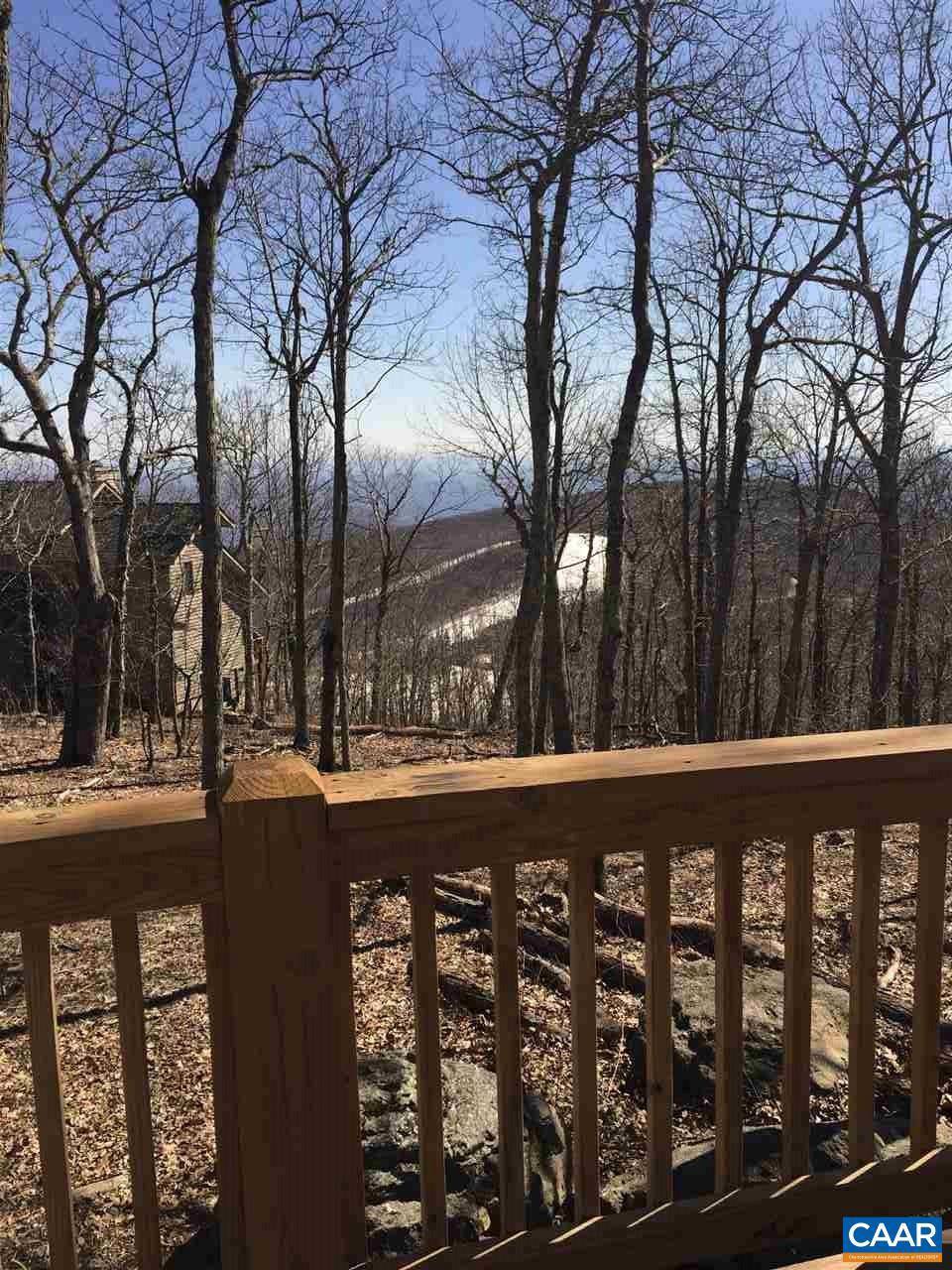 Wintergreen Resort, VA 22967,21 RIDGE LN LN