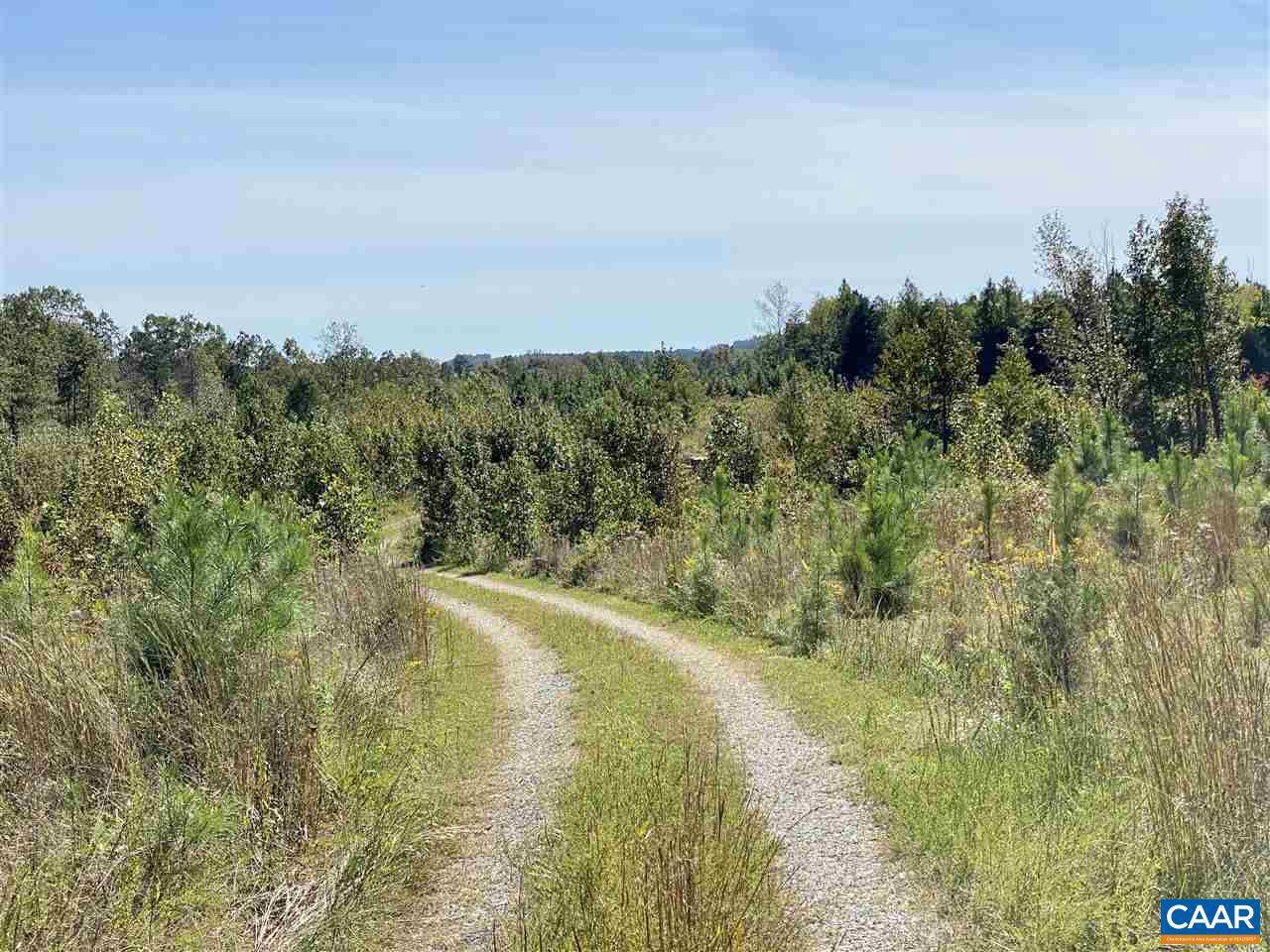 Fork Union, VA 23055,LOT 2 CARYS CREEK RD RD #2