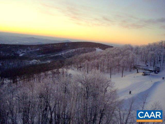 Wintergreen Resort, VA 22967,1611 OVERLOOK CONDOS