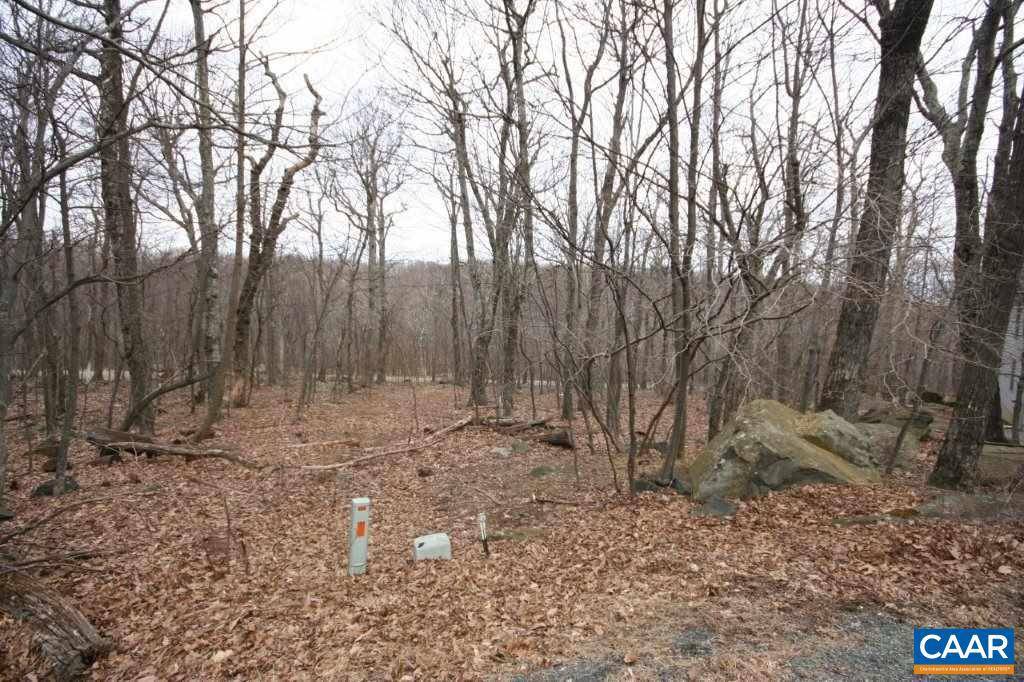 Wintergreen, VA 22958,95 DEERBERRY LN LN #LOT 11, SHAMOKIN SPR